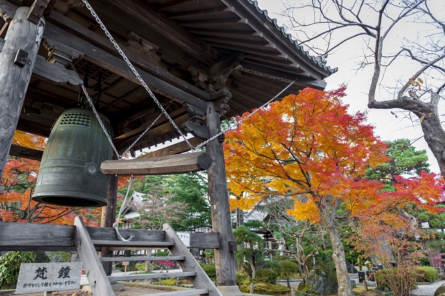 家族で仙台の神社に聞きに行こう『除夜の鐘』
