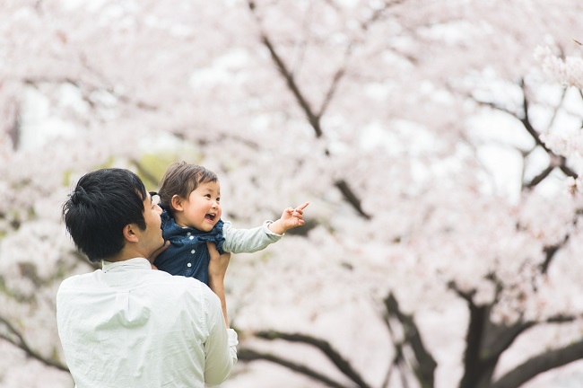 今年はどこへ見に行く？仙台のオススメお花見スポット