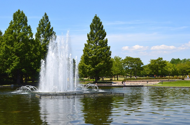 七北田公園で遊びましょう