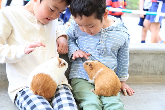 動物とのふれあいで安らぎホルモン