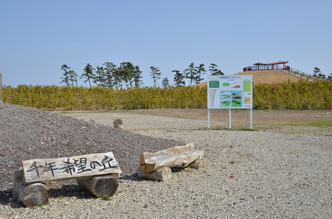 宮城の復興へ歩む丘と羊