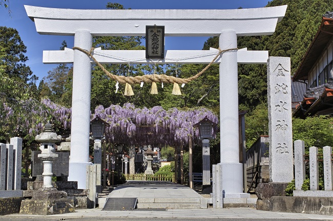 宮城県の金運にご利益のある神社とは