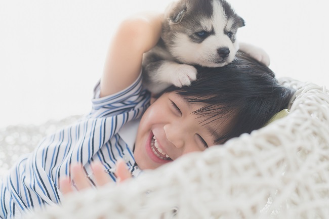 動物とのふれあいが子どもの優しさを育てる