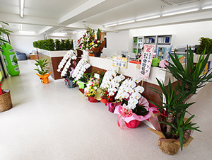 店舗風景4
